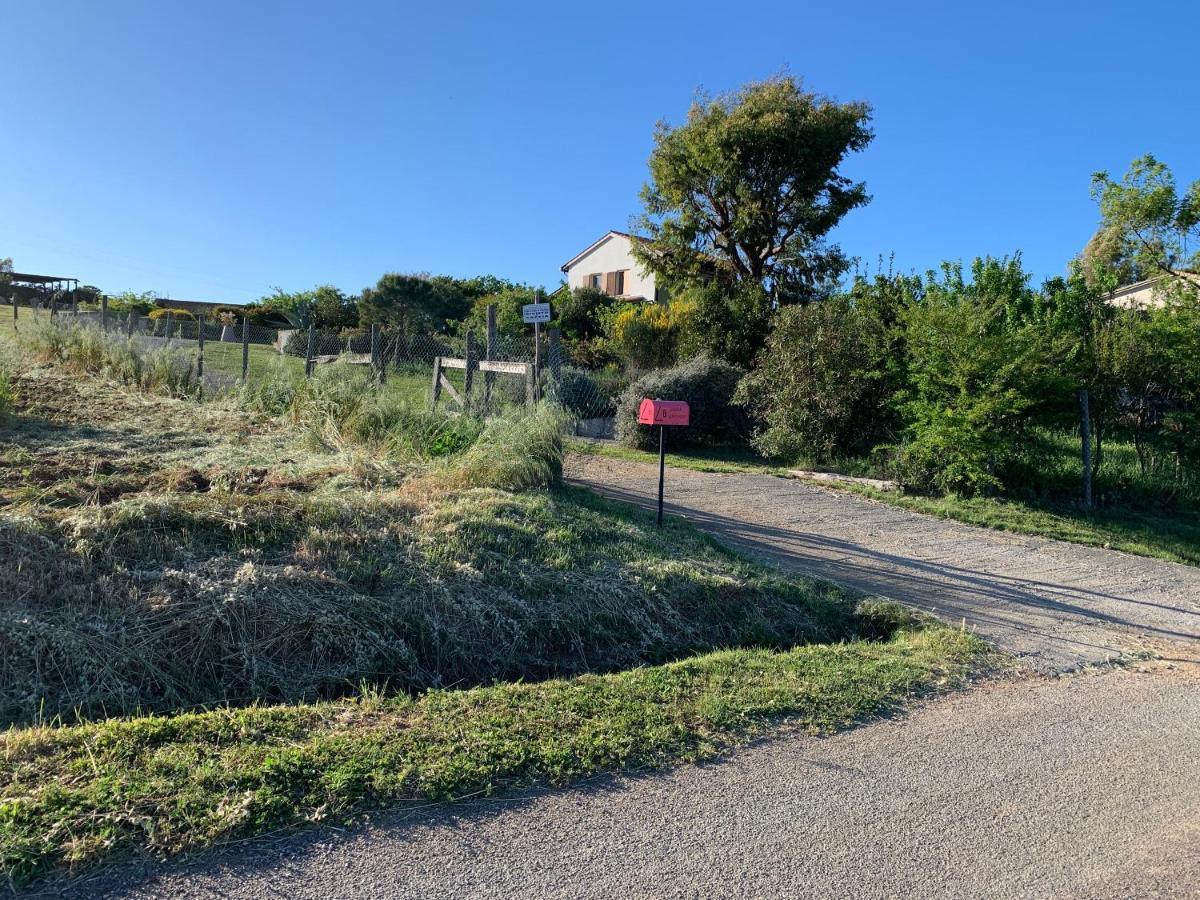 Casale Artemisia Capalbio Panzió Kültér fotó