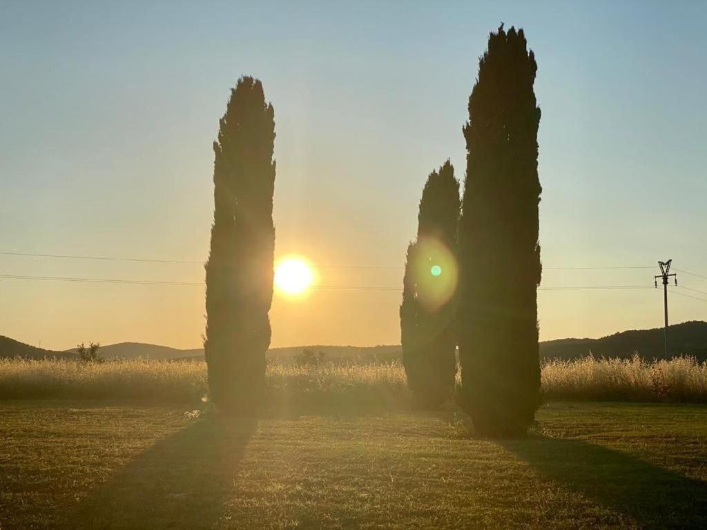 Casale Artemisia Capalbio Panzió Kültér fotó